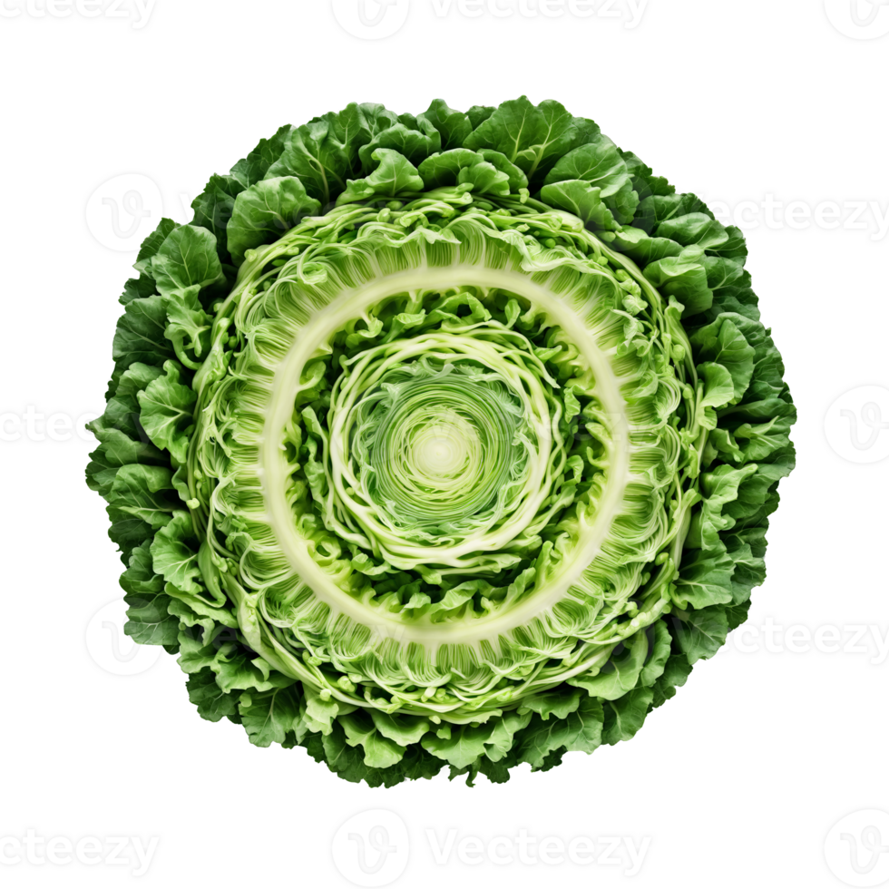 Kohlrabi mandala an alien like circular pattern of kohlrabi with leaves unfurling and steam rising png