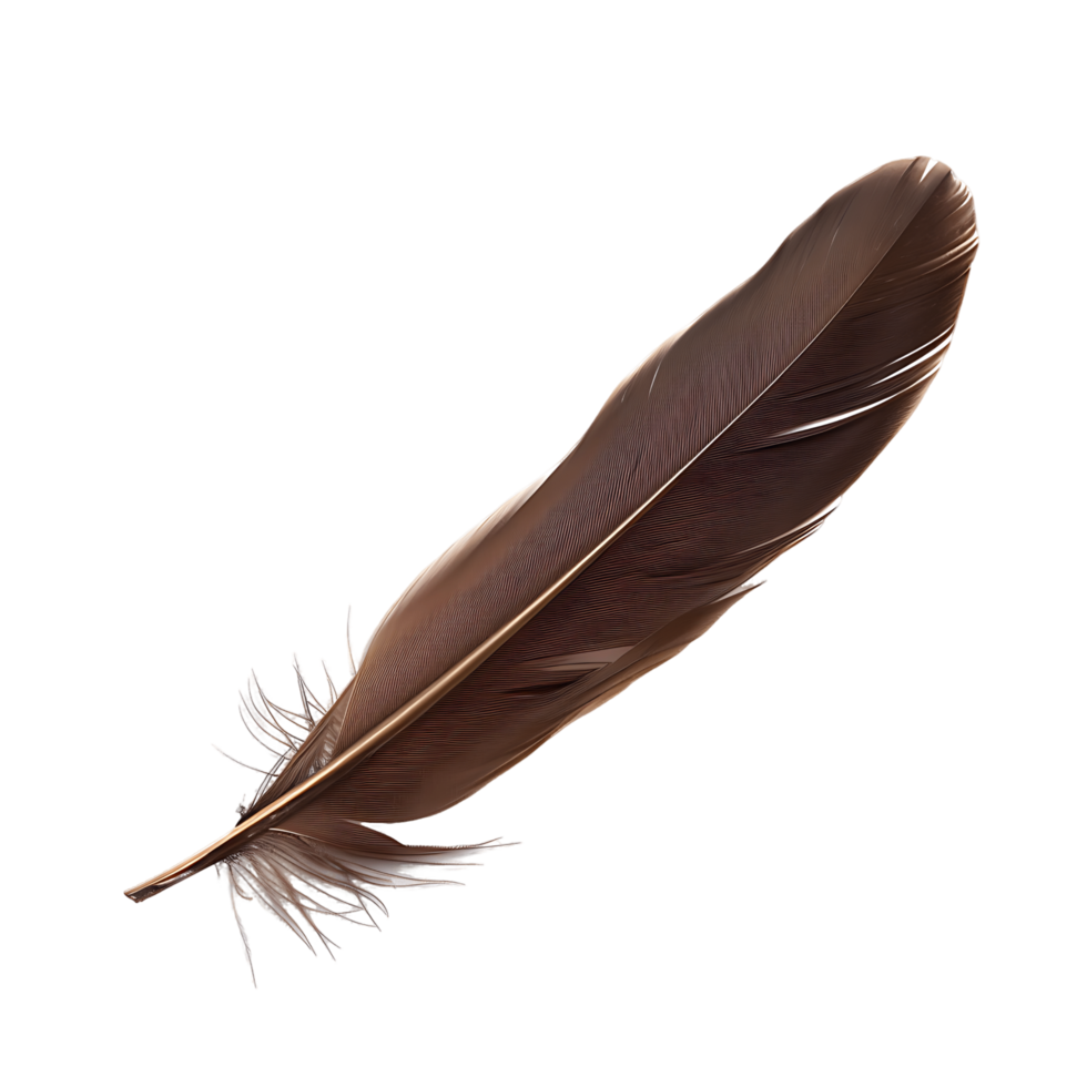 Unlock Creativity with Quill Feather Cut Out PNGs 45858756 PNG