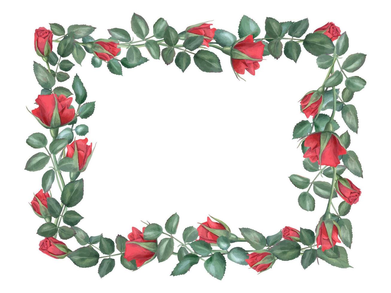 Red roses. Ruby flowers and green leaves. Horizontal floral frame. Intertwining rose stems with buds. Blooming summer plants. Watercolor illustration for wedding design, memorial day. vector