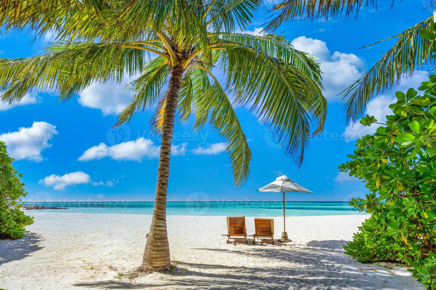 Tropical beach nature as summer landscape with lounge chairs and palm trees and calm sea for beach banner. Luxurious travel landscape, beautiful destination for vacation or holiday. Beach scene photo