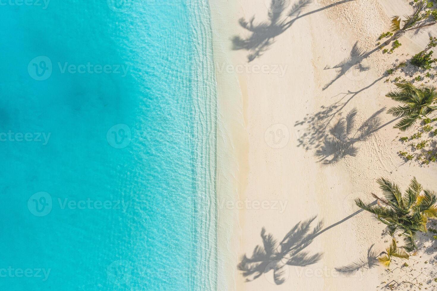 Beach palm tree shadows sunny sandy beach and turquoise ocean from above. Amazing summer nature landscape. Stunning sunny beachfront coast, relaxing peaceful and inspirational shore vacation tourism photo