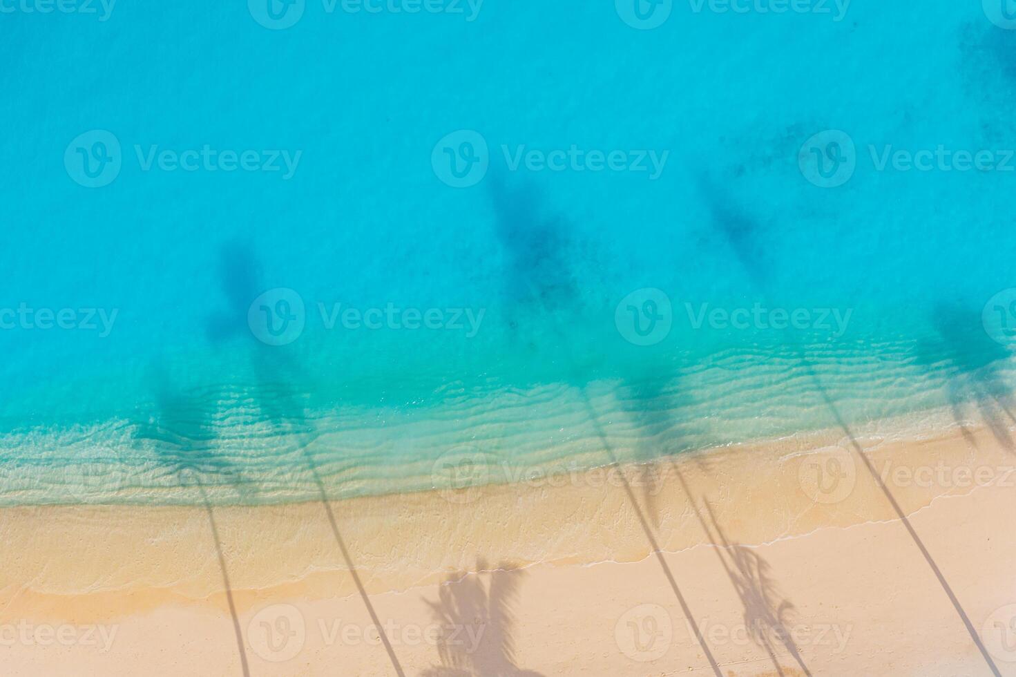 Palm trees shadow on the sandy beach and turquoise ocean from above. Amazing summer nature landscape. Stunning sunny beach scenery, relaxing peaceful and inspirational beach vacation template photo