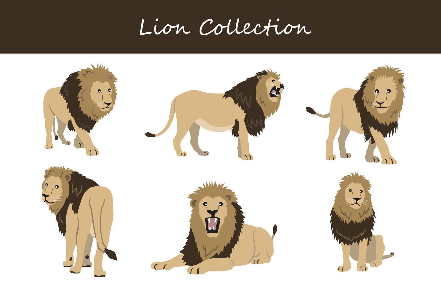 lion collection. lion in different poses. vector