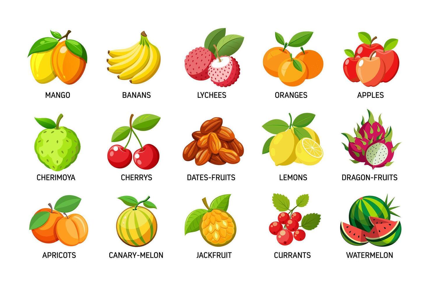 Set of Common fruits illustration vector