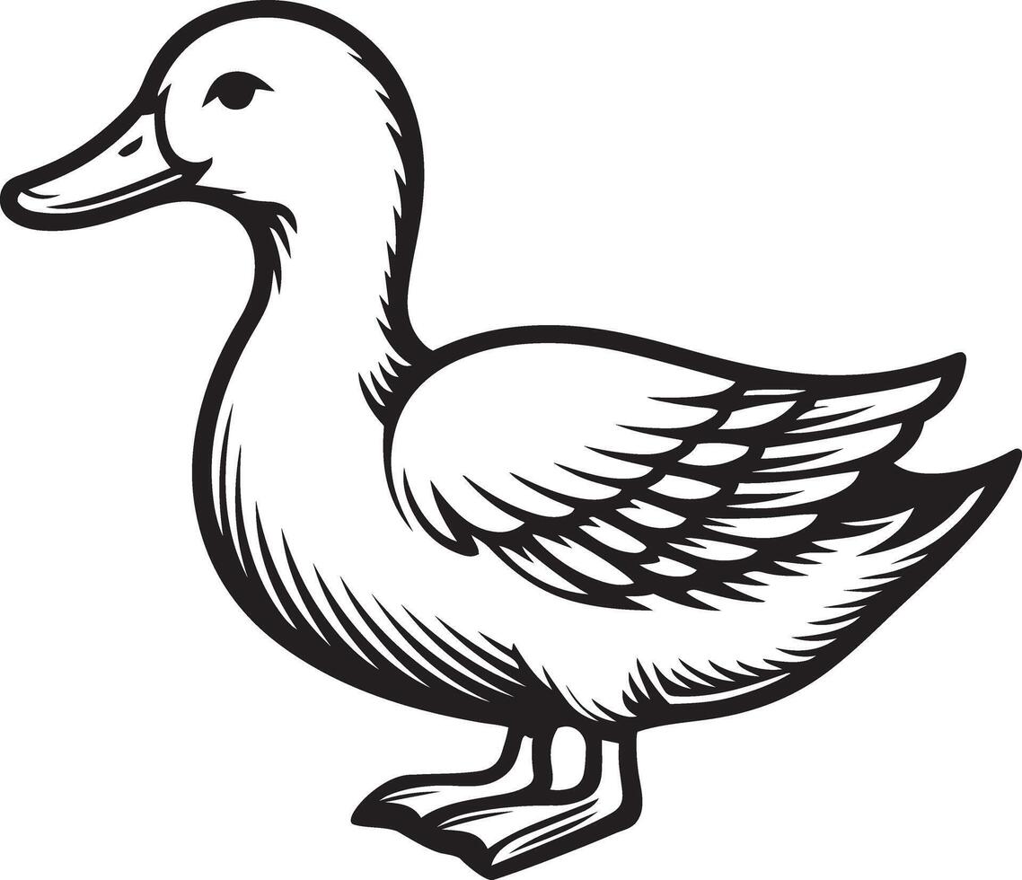 Duck silhouette outline illustration. vector