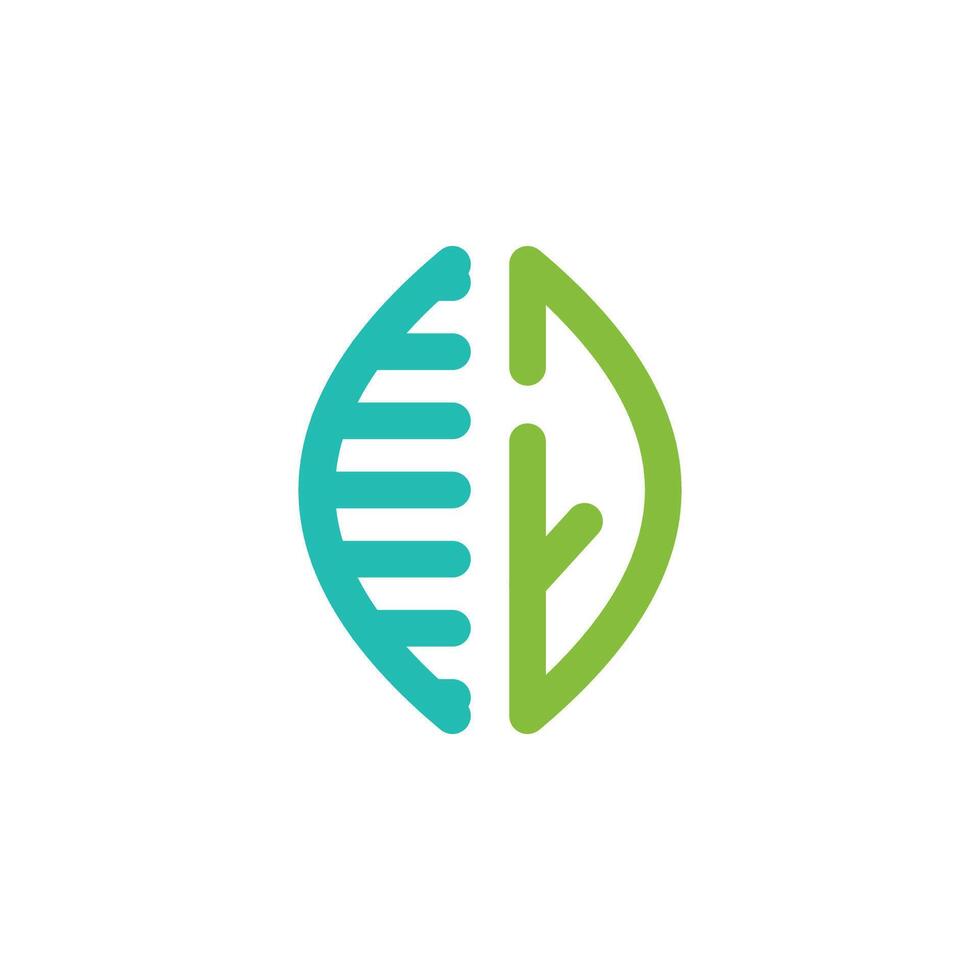 a logo for a company that makes a leaf vector