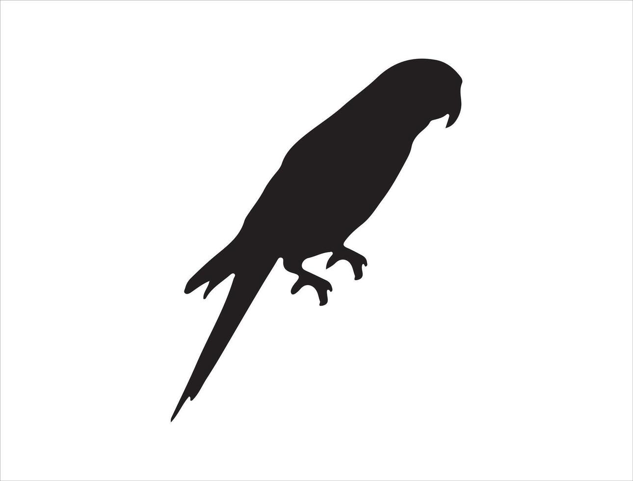 Lovebird silhouette on white background vector