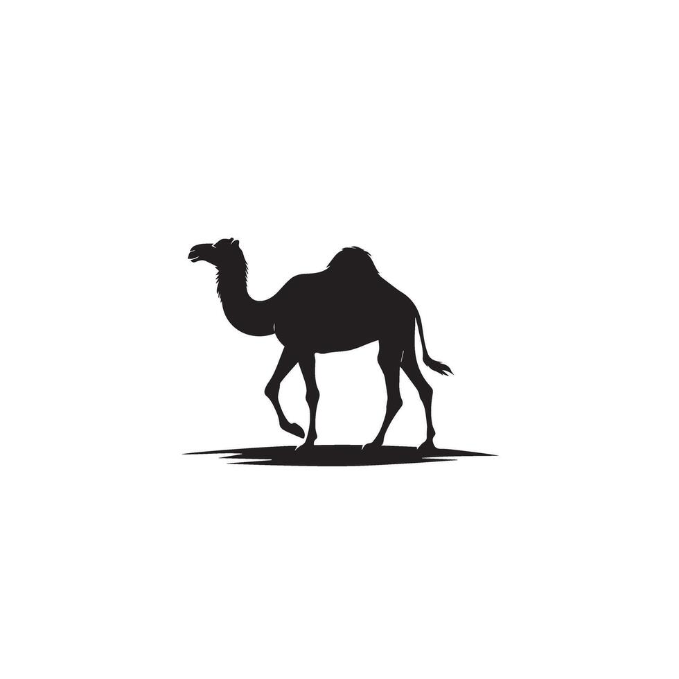 Camel silhouette on white background. Camel illustration, camel logo. vector