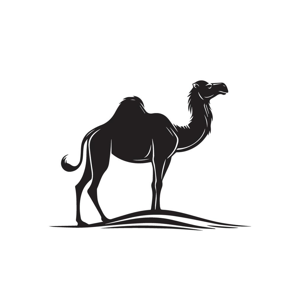 Camel silhouette on white background. Camel illustration, camel logo. vector