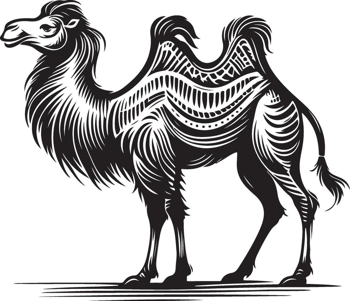 Sketch of walking camel vector