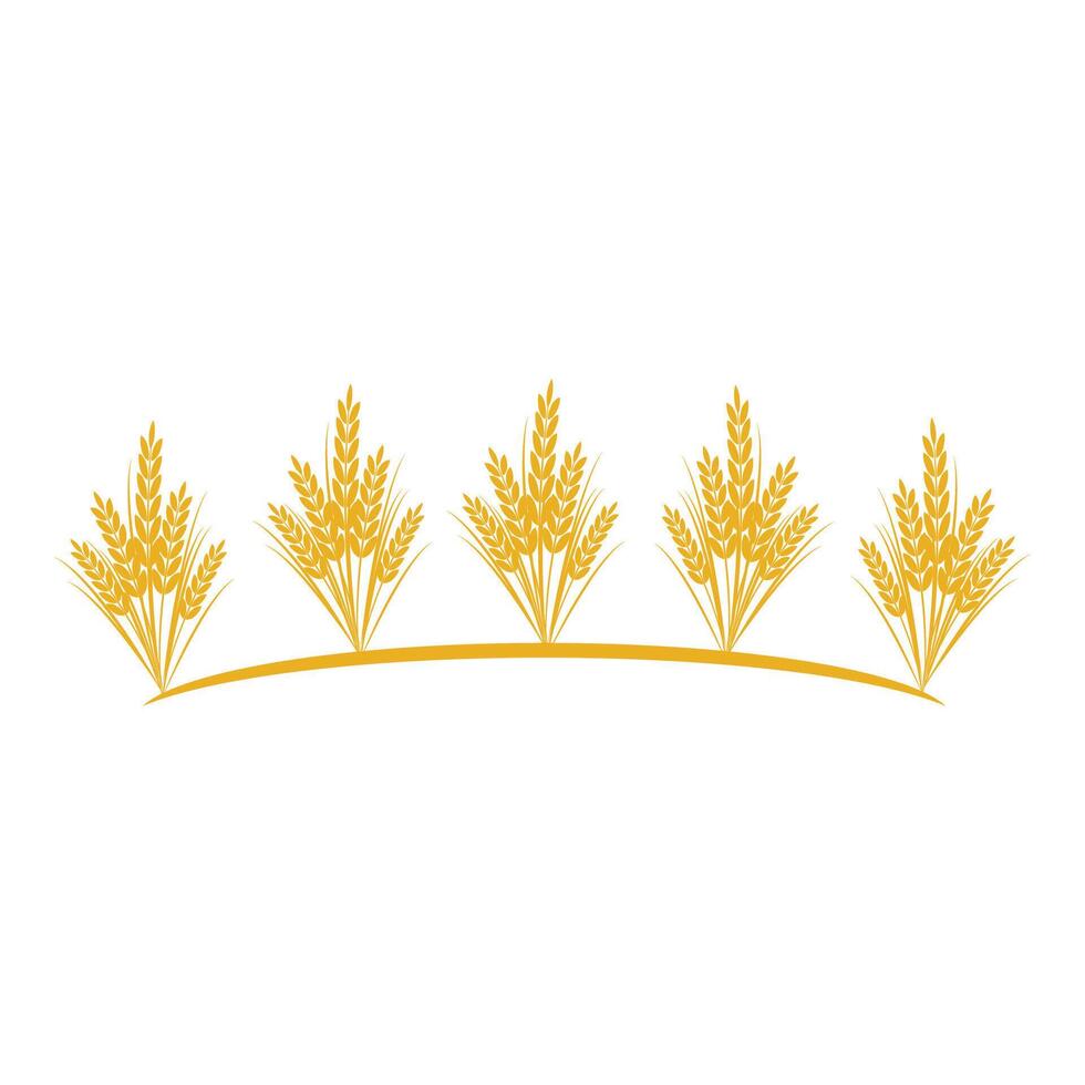Agriculture wheat logo template and symbol vector