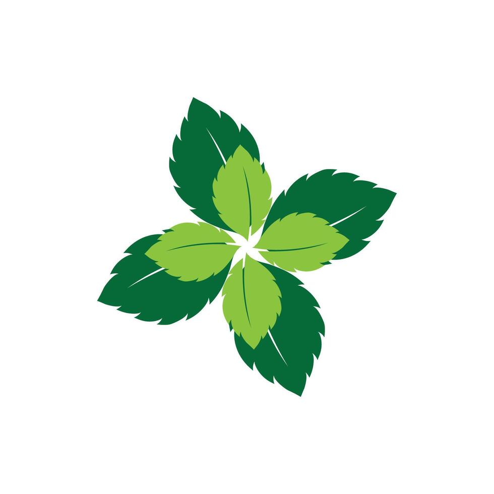 Mint leaf logo element template and symbol vector