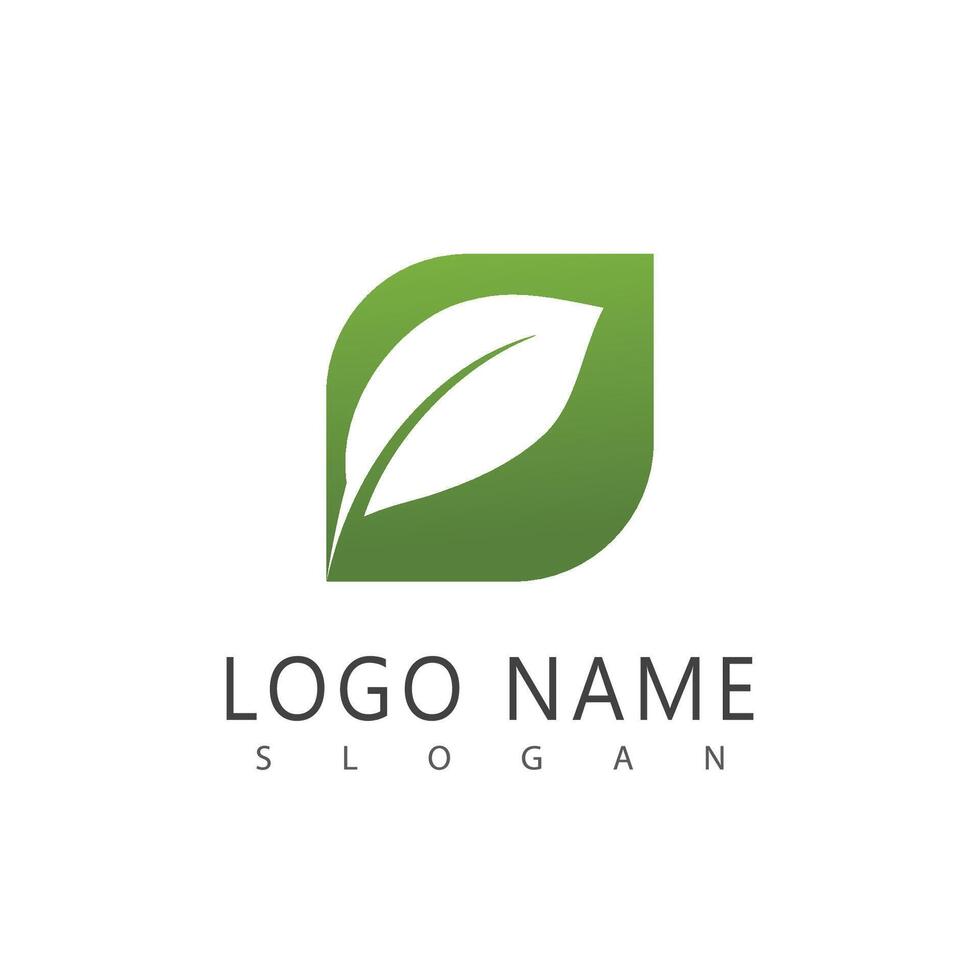 Mint leaf logo element template and symbol vector