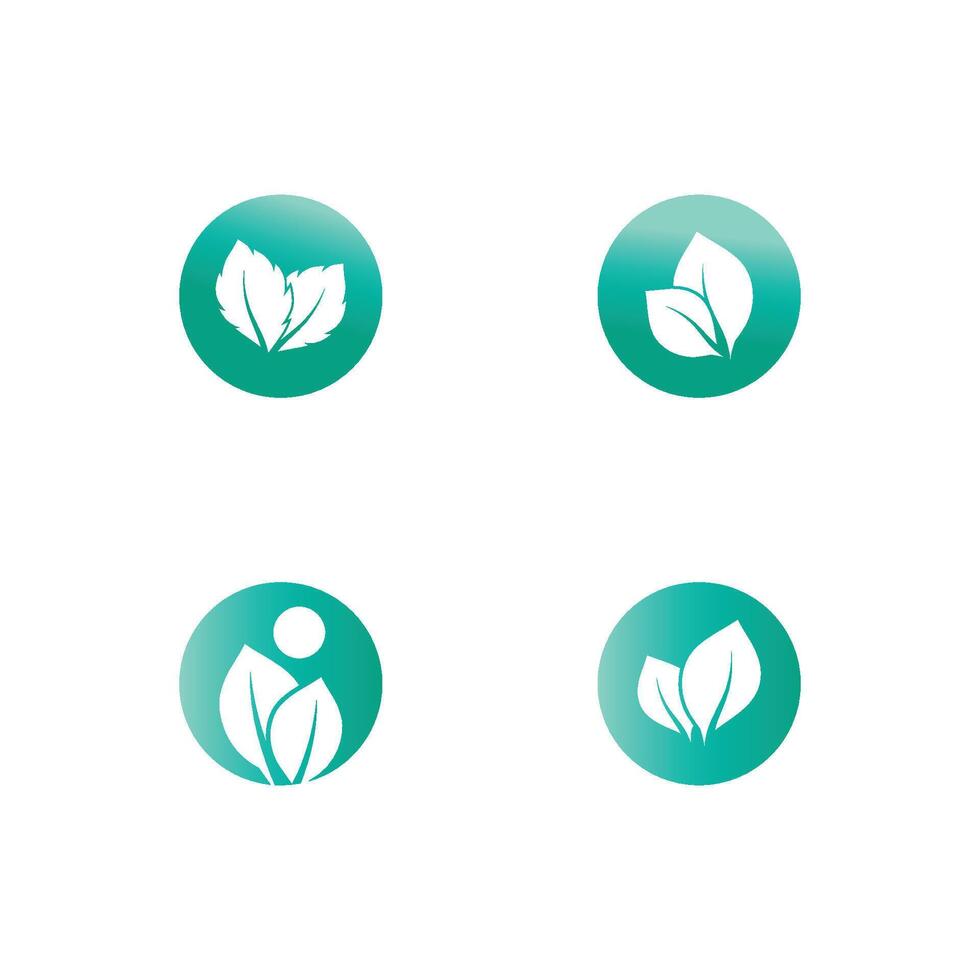 Mint leaf logo element template and symbol vector