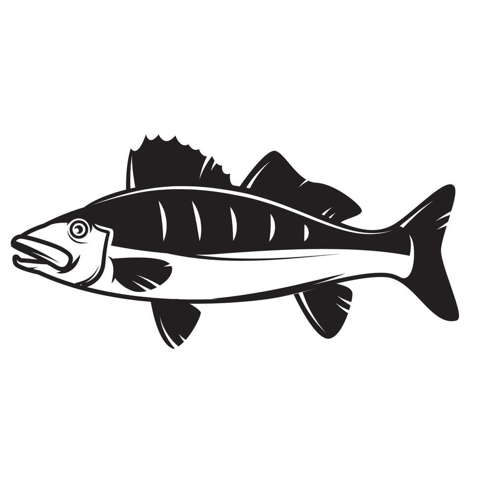Illustration of pikeperch fish. Design elements vector