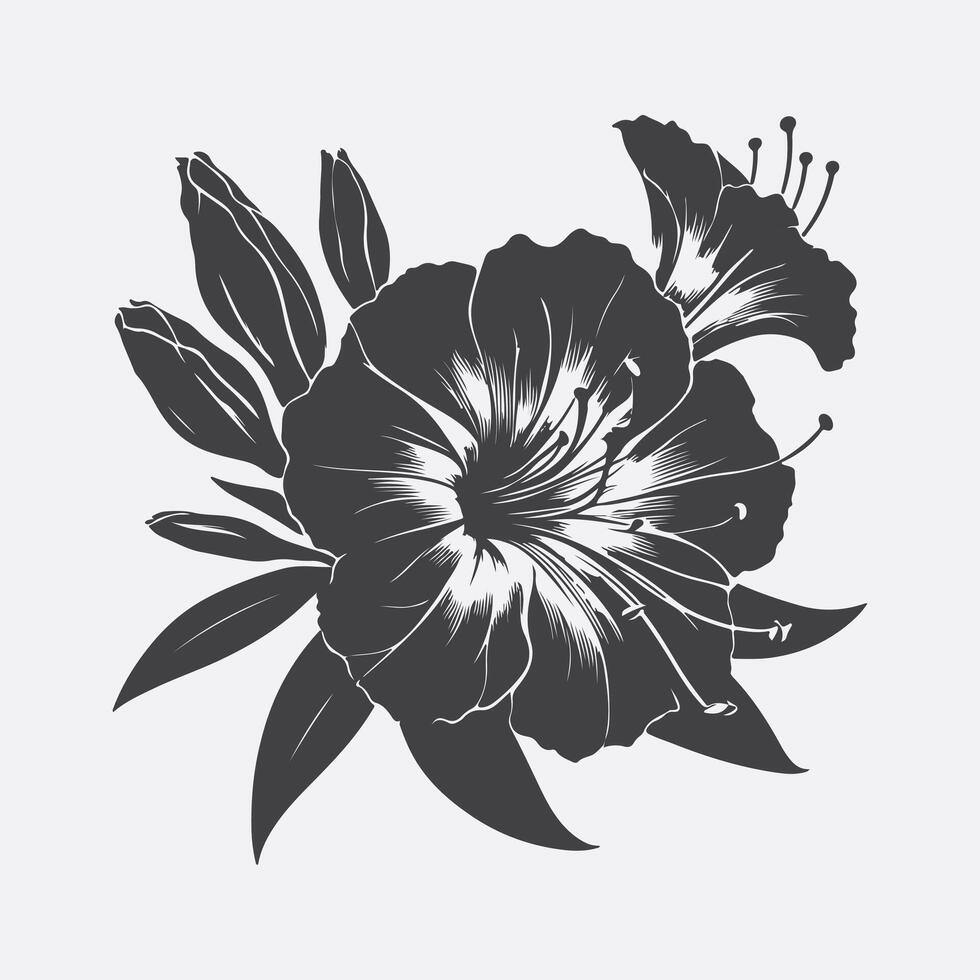 The Mesmerizing Silhouette of the Four O'Clock Flower, Nature's Evening Elegance vector