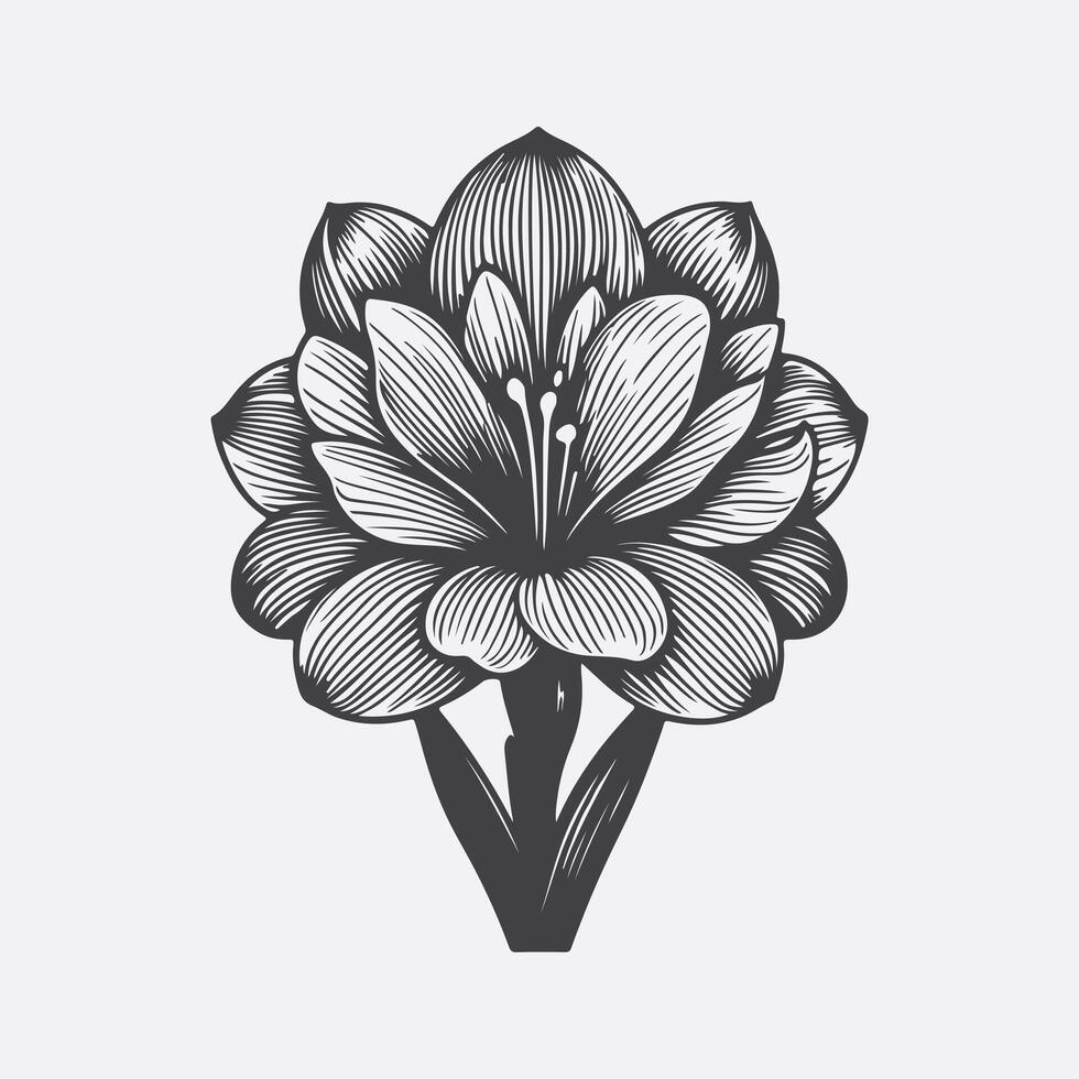 Print Enchanting Tuberose Flower Silhouette, A Delicate Dance of Shadows vector