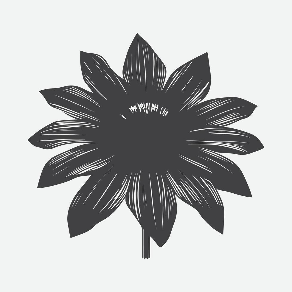 Captivating Silhouette of Rudbeckia Flower, Nature's Shadow Art vector