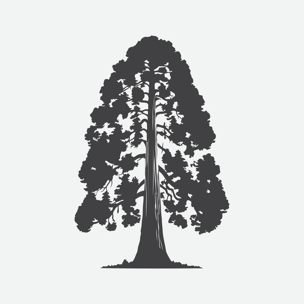 Print Majestic Silhouette of the Sequoia Tree, A Timeless Icon of Nature's Grandeur vector