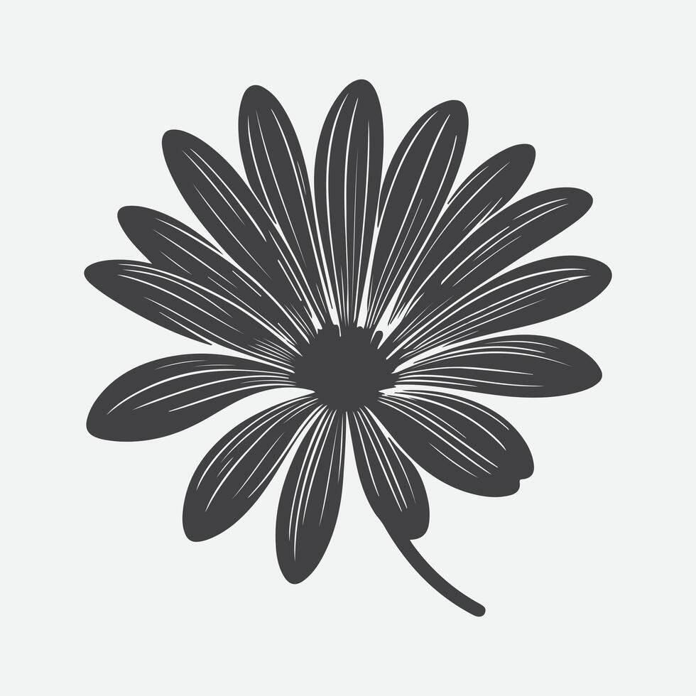 Print Captivating Silhouette of the Osteospermum Flower, Nature's Shadowed Elegance vector