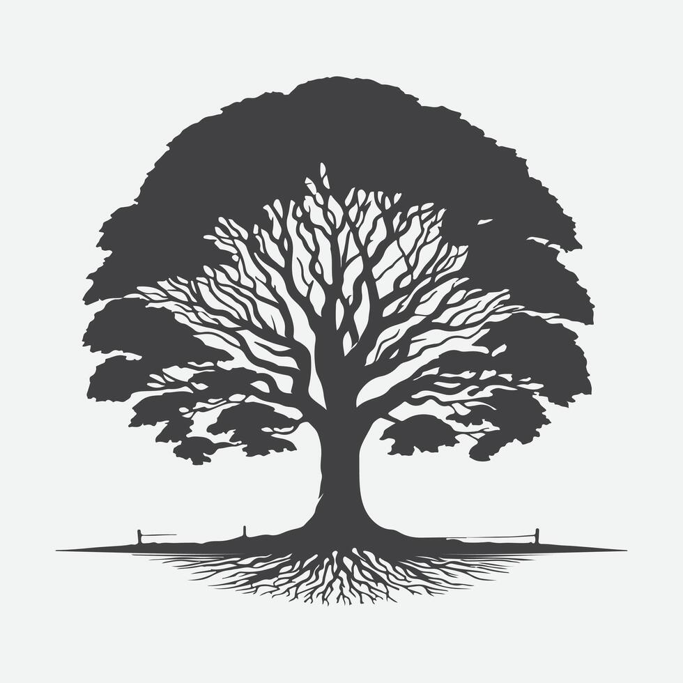 Print Majestic Elm Tree Silhouette, Capturing the Timeless Elegance of Nature vector