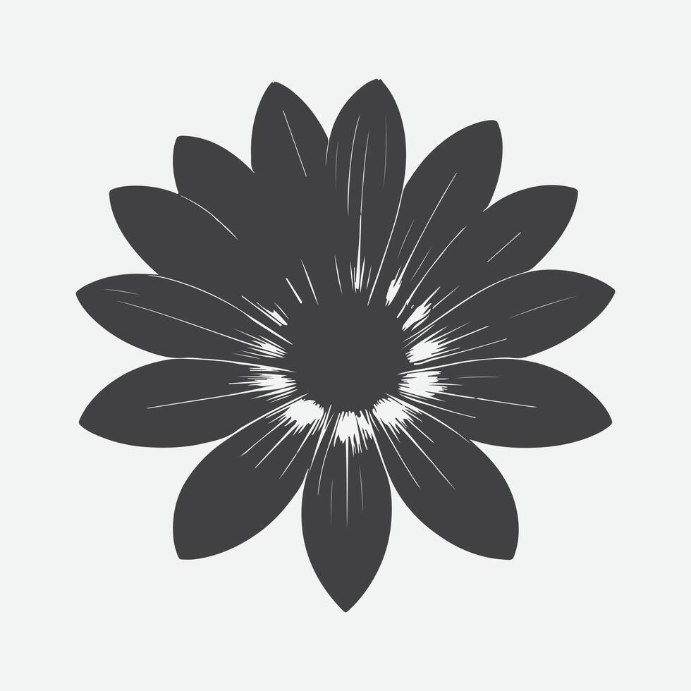 Print Captivating Silhouette of the Osteospermum Flower, Nature's Shadowed Elegance vector