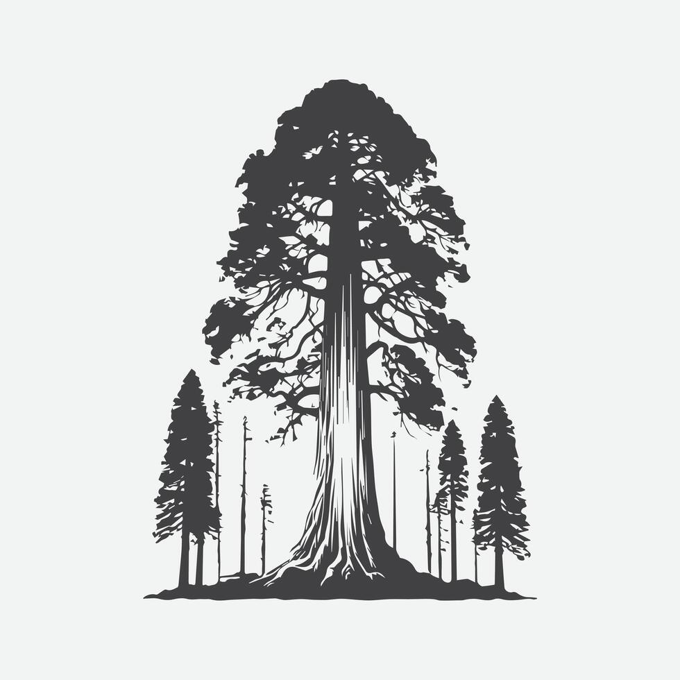Print Majestic Silhouette of the Sequoia Tree, A Timeless Icon of Nature's Grandeur vector