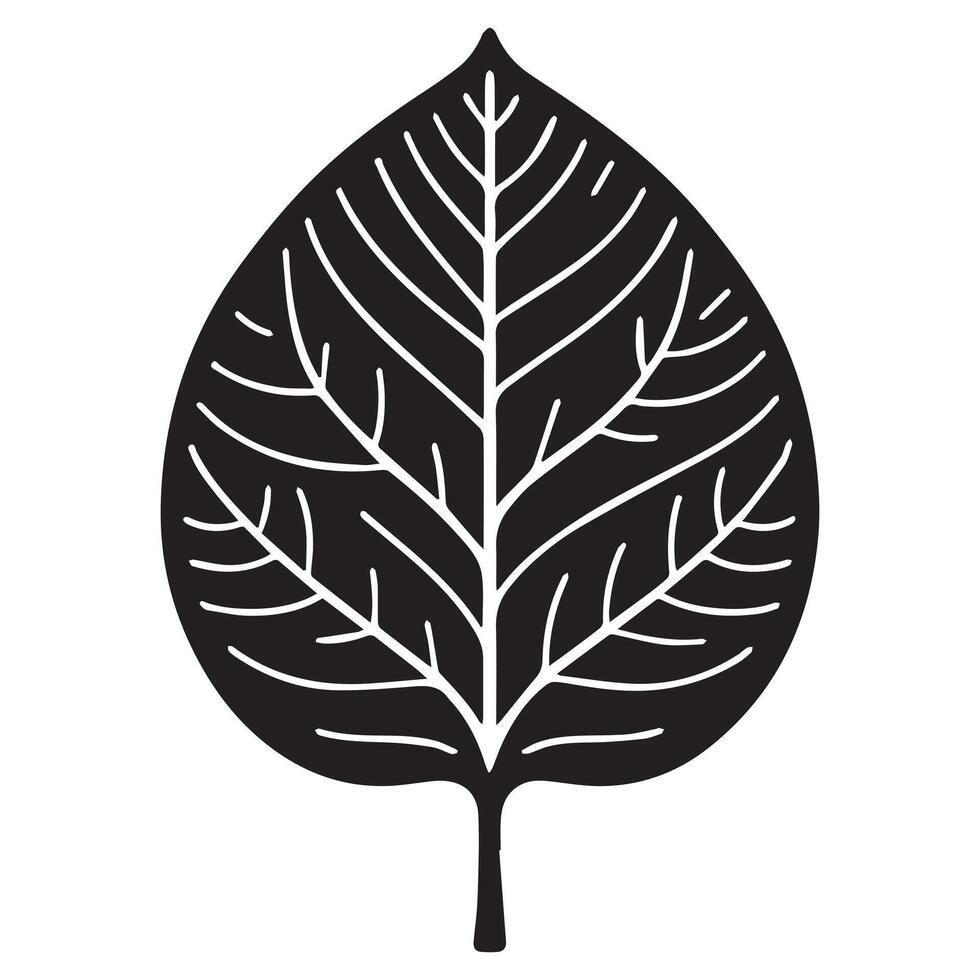 A Teak leaf illustration in black and white vector