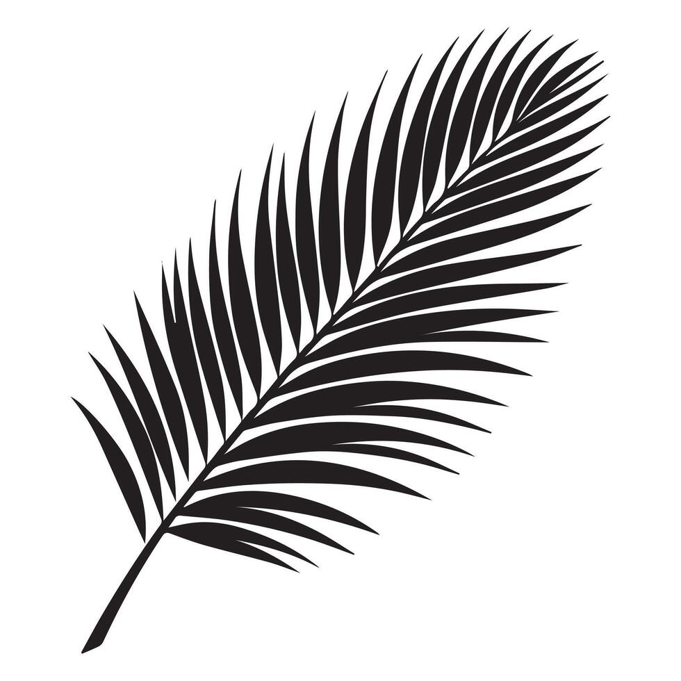 a long coconut leaf illustration in black and white vector