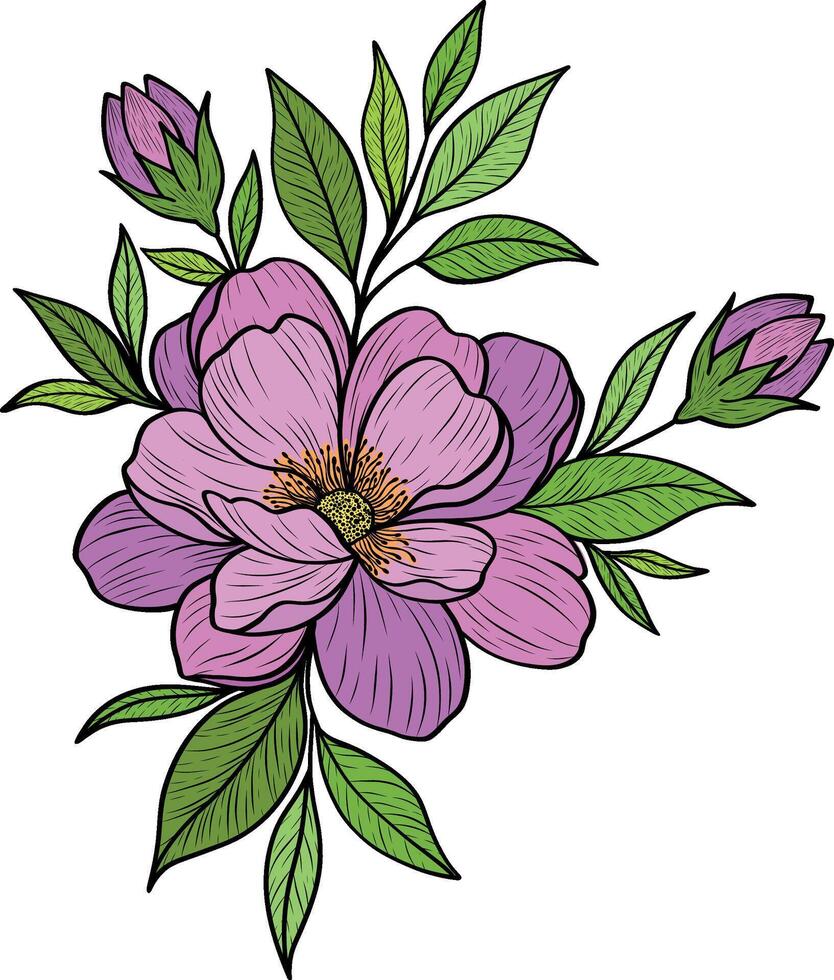illustration of a delicate peony flower. Pink hand-drawn peony on a transparent background. Pink flowers for creating postcards, floral patterns and ornaments. vector