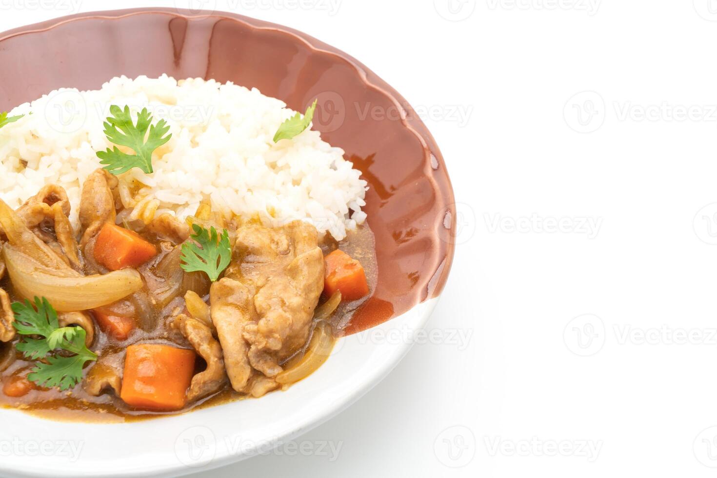 Japanese curry rice with sliced pork, carrot and onions photo