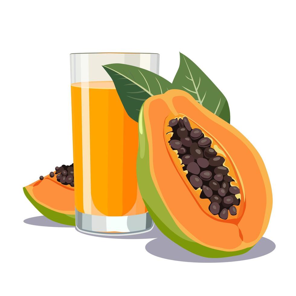 Full glass of orange freshly and healthy squeezed papaya juice isolated on white background. illustration in flat style with tropical drink. Summer clipart for card, banner, flyer, poster design vector