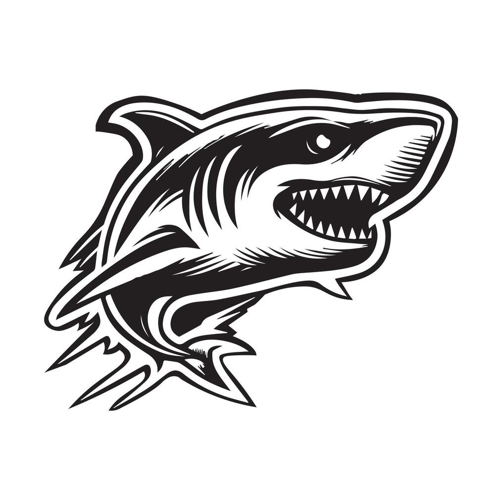 Black and white image of shark vector