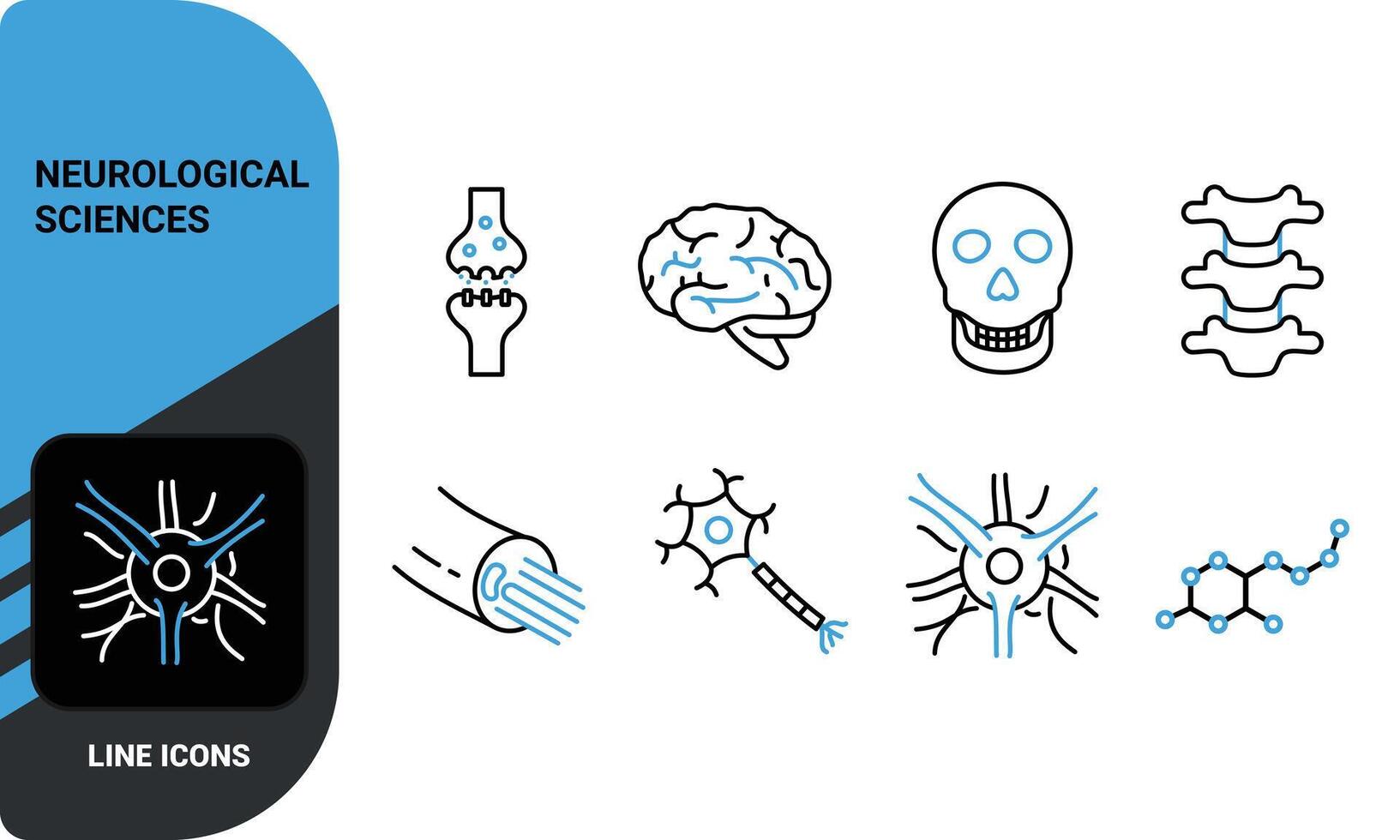 Neurological Sciences Icon Set. Thin Linear Illustrations of Brain, Neuron Structure, Nerve, Skull, Neurotransmitter and Brain Synapse, Spinal Cord. Isolated Signs. vector