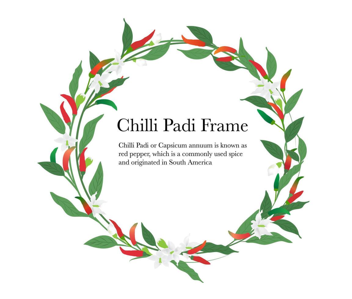 chili foliage in crown frame on white background vector