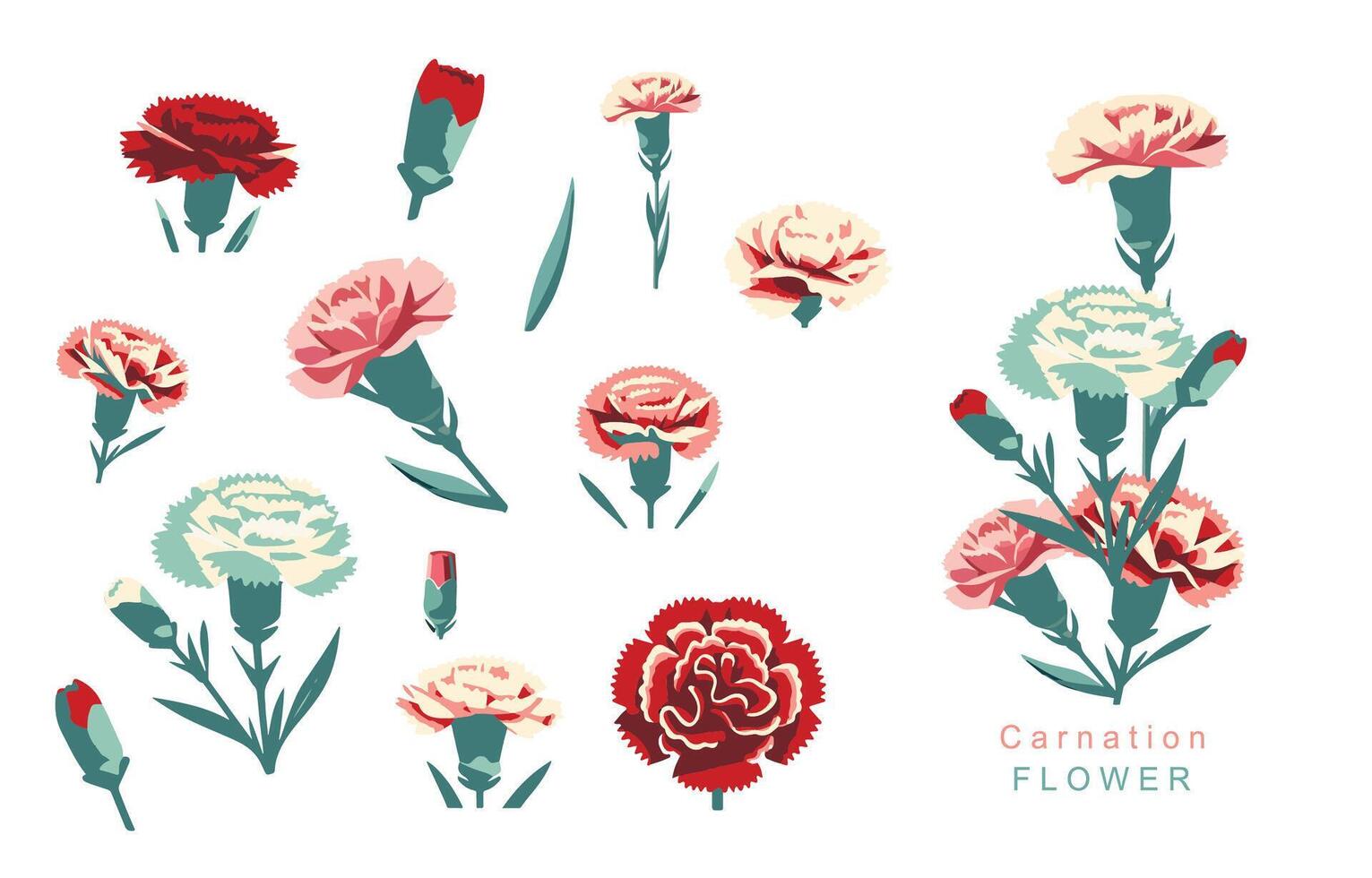 carnation object element.use for mother's day design vector