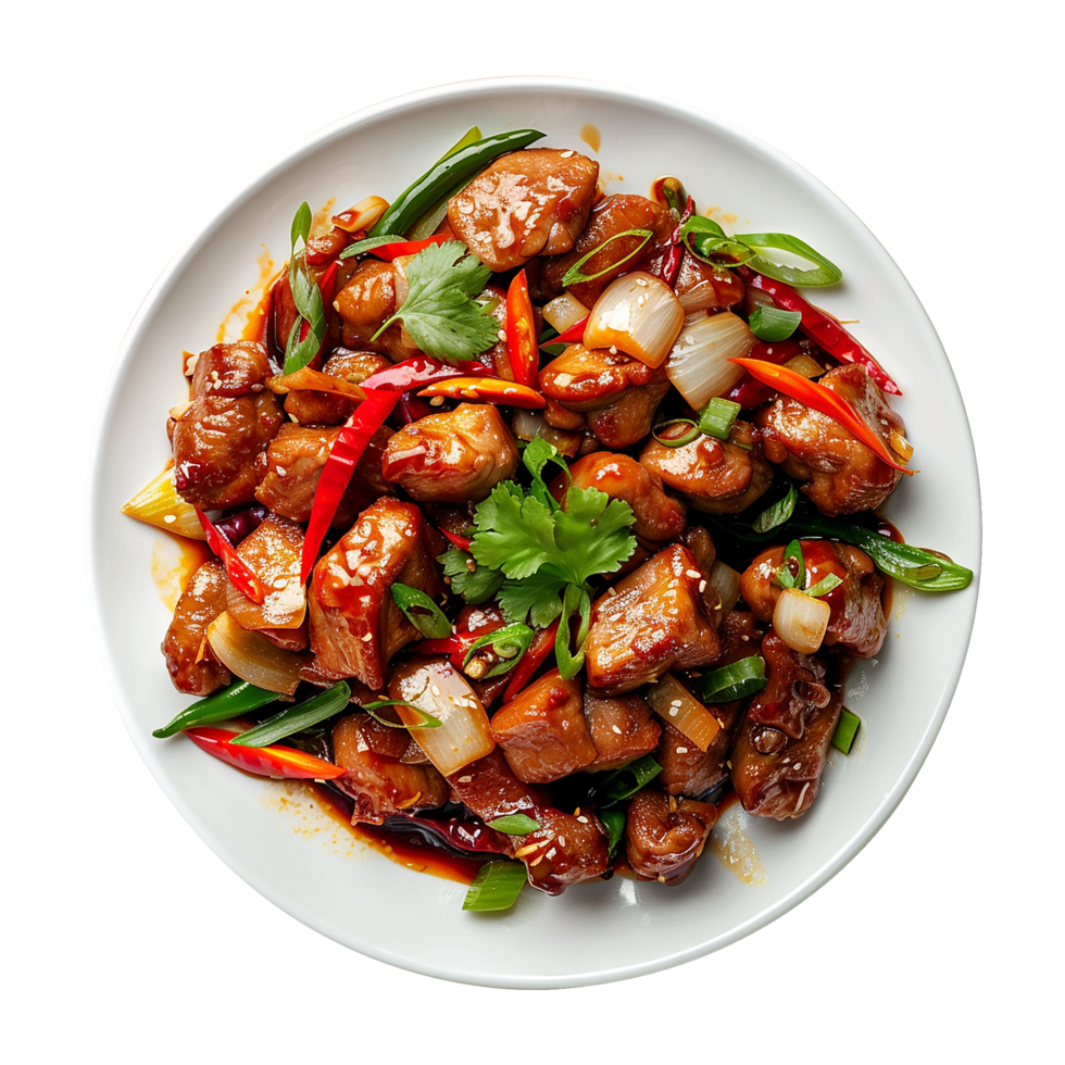 Tasty plate of sichuan isolated on transparent background png