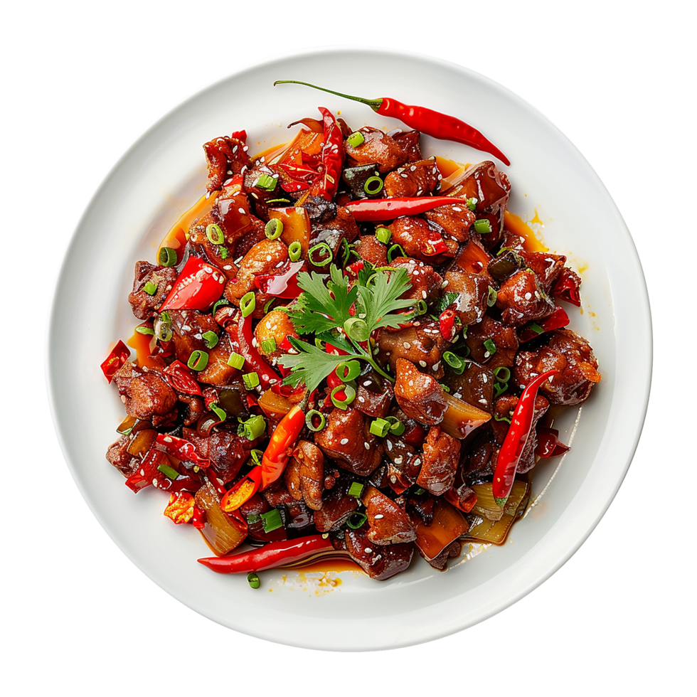 Kung Pao Chicken