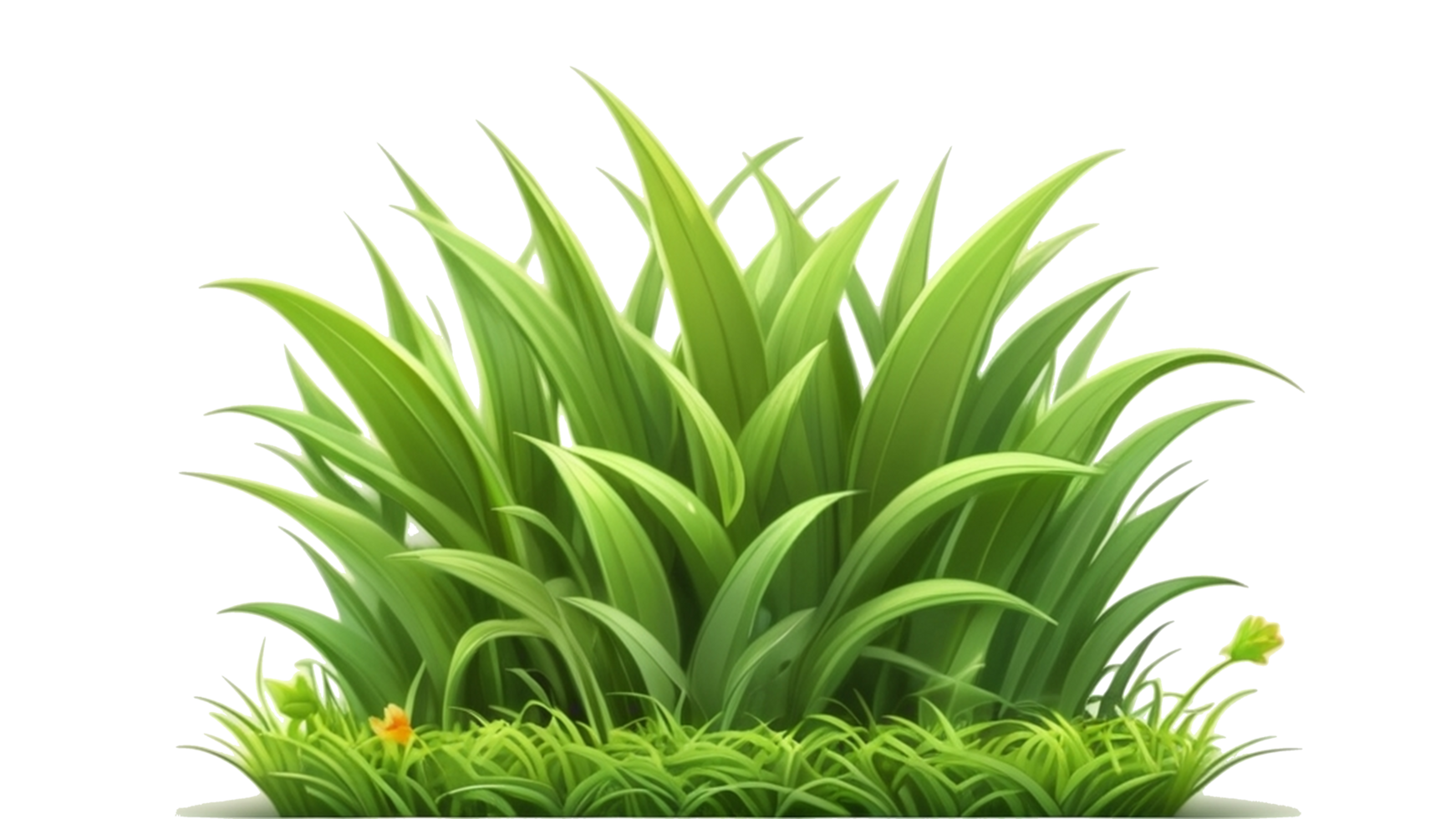 grass clipart with transparent background png