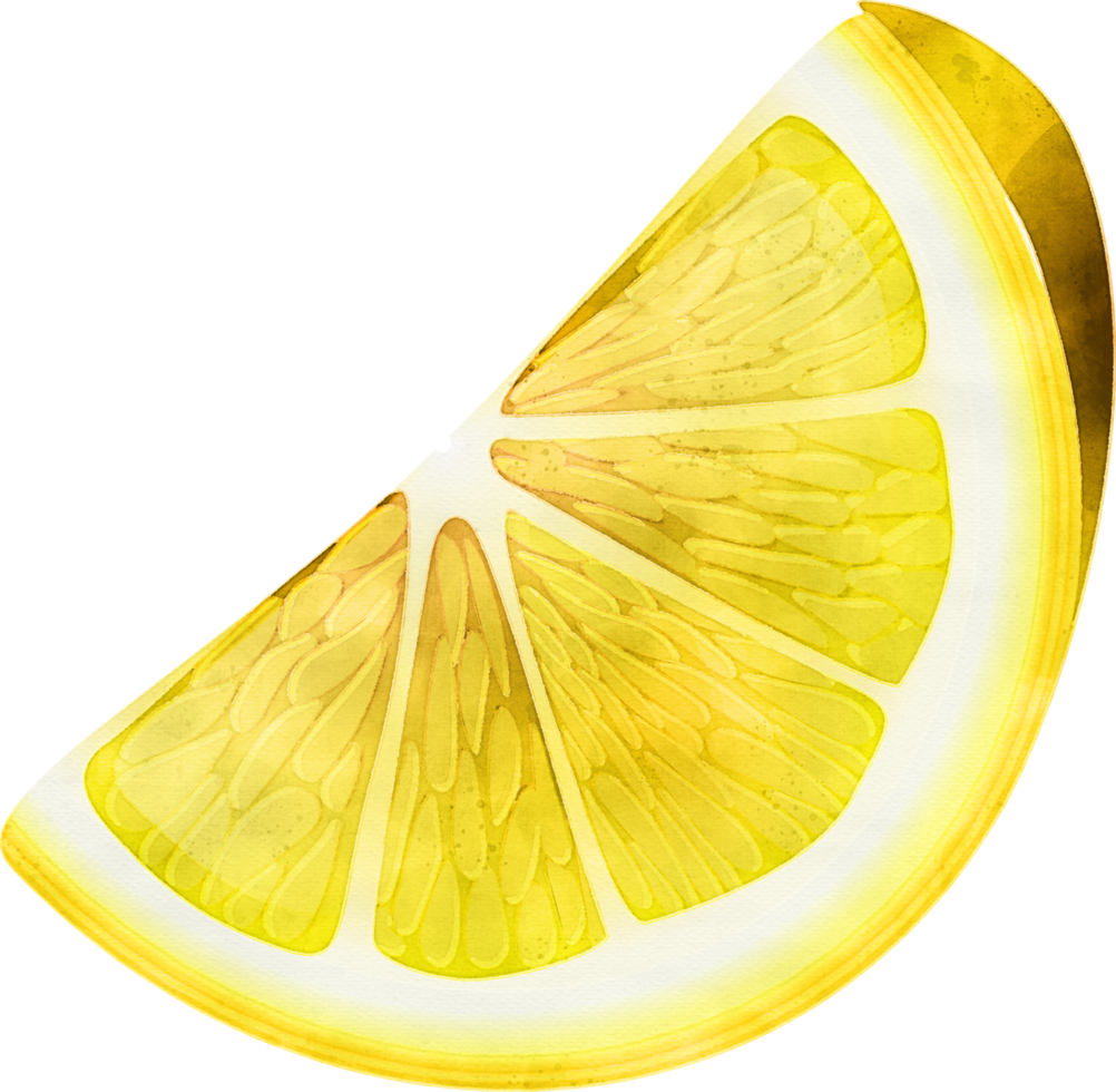 Lemon fruit watercolor illustration png