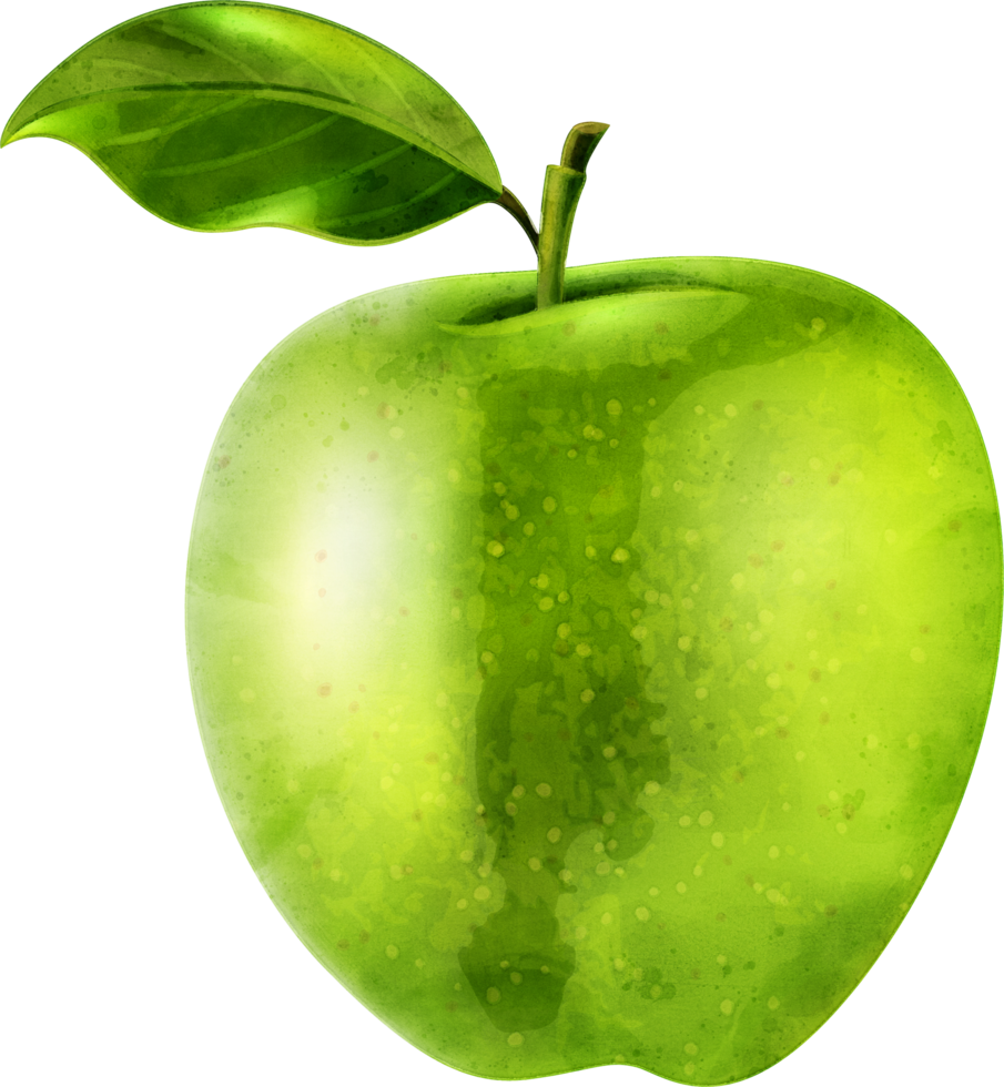 Apple fruit watercolor illustration png