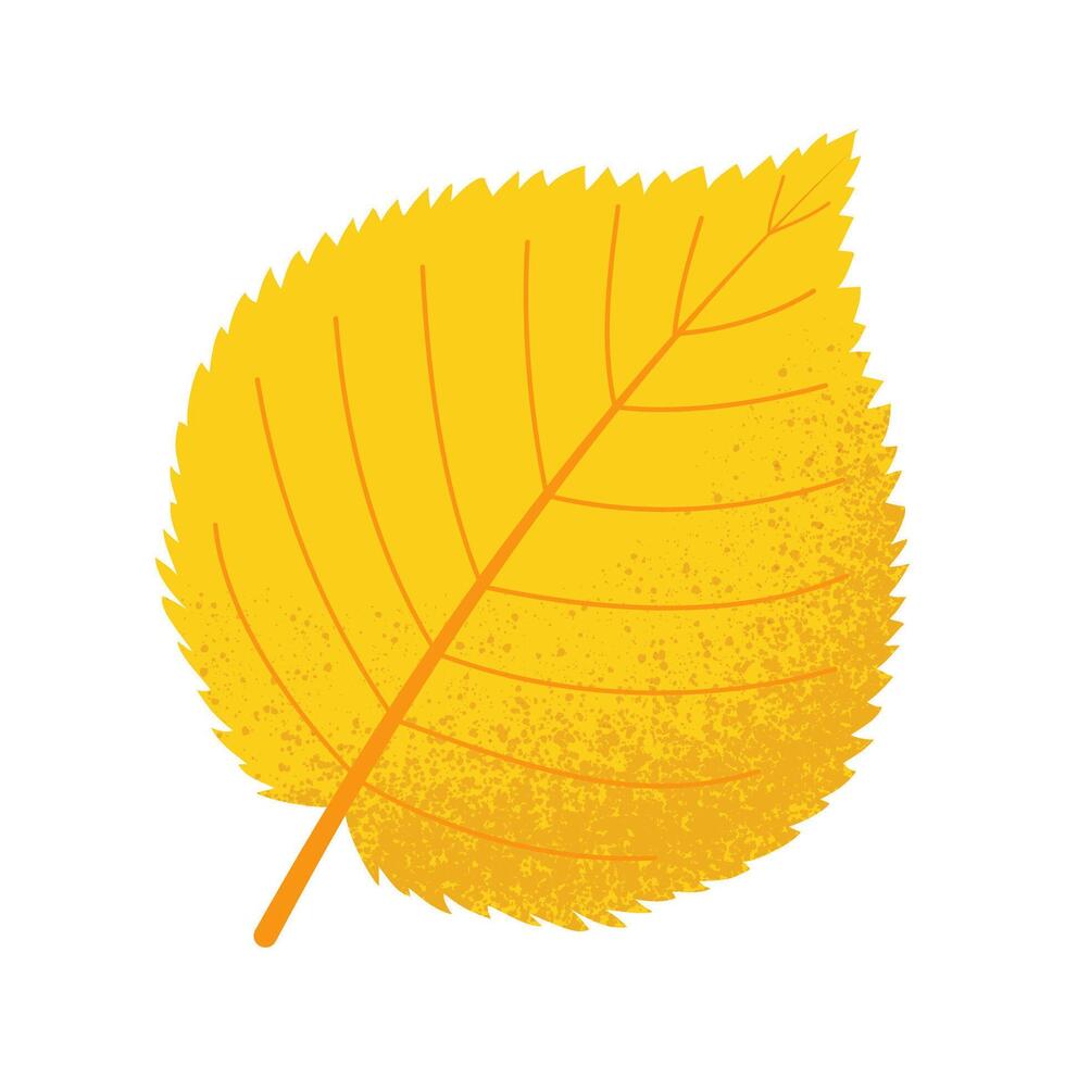Yellow autumn leaf with grain texture isolated on white. Flat illustration vector