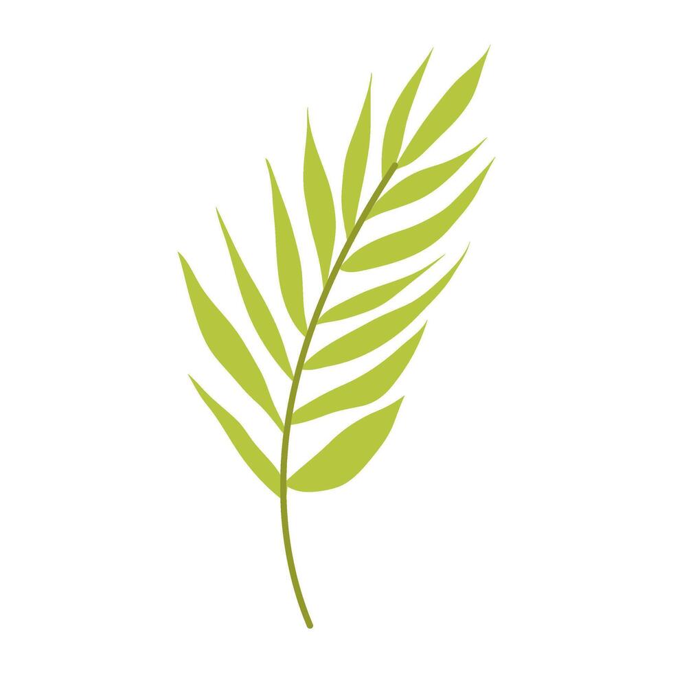 Light green palm branch in flat style. Decorative palm branch. A simple branch of a tropical plant. vector