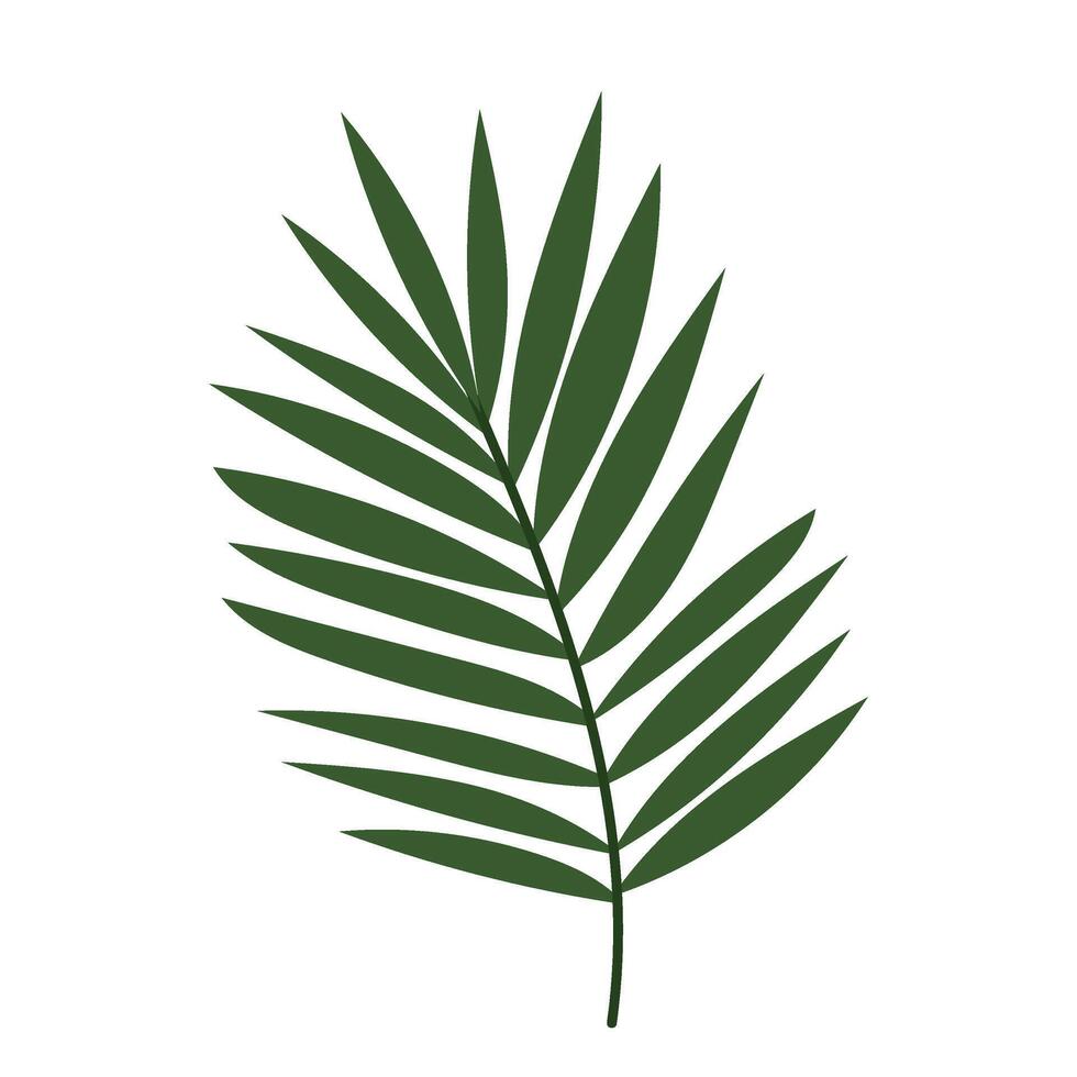 Palm Tree Branch In Flat Style. Decorative Branch. A Simple Palm Tree Branch In Flat Style. Decorative Branch. A Simple