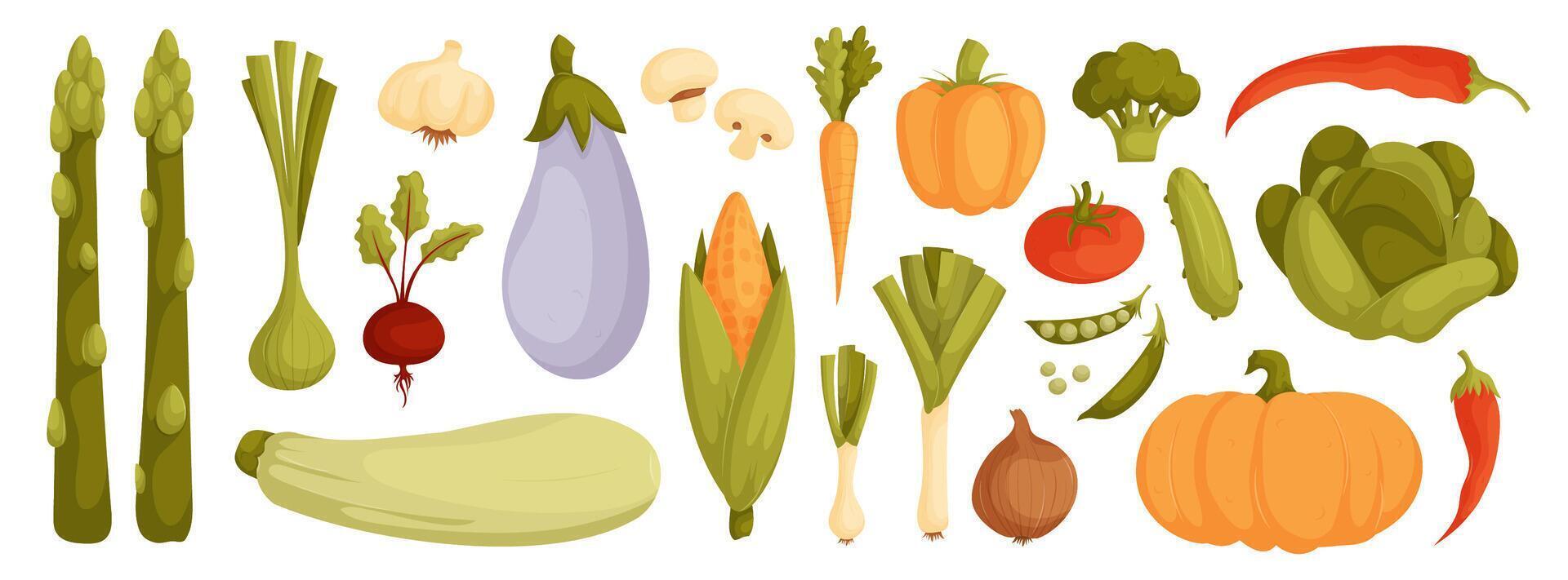 Vegetables and fruits set illustration vector