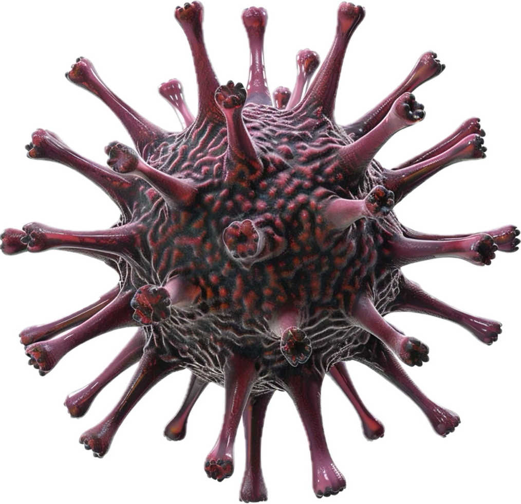 3D Illustration of Coronavirus Structure. png
