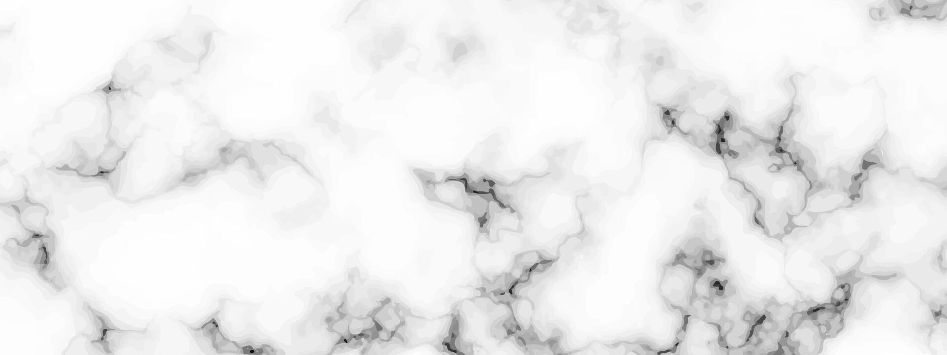 White marble texture background vector