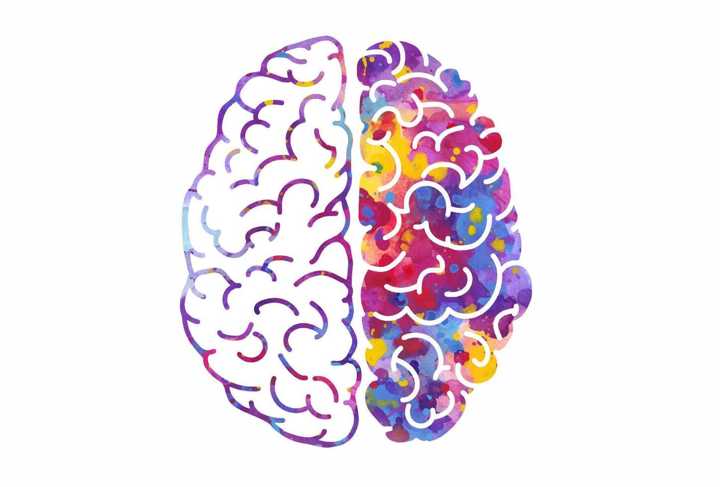 Watercolor brain, left and right hemispheres. illustration vector