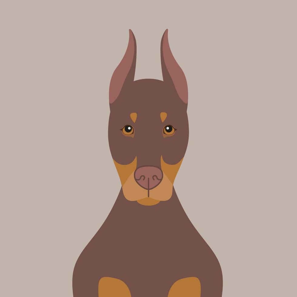Doberman Pinscher dog illustration. Purebred cartoon brown dog in flat style vector