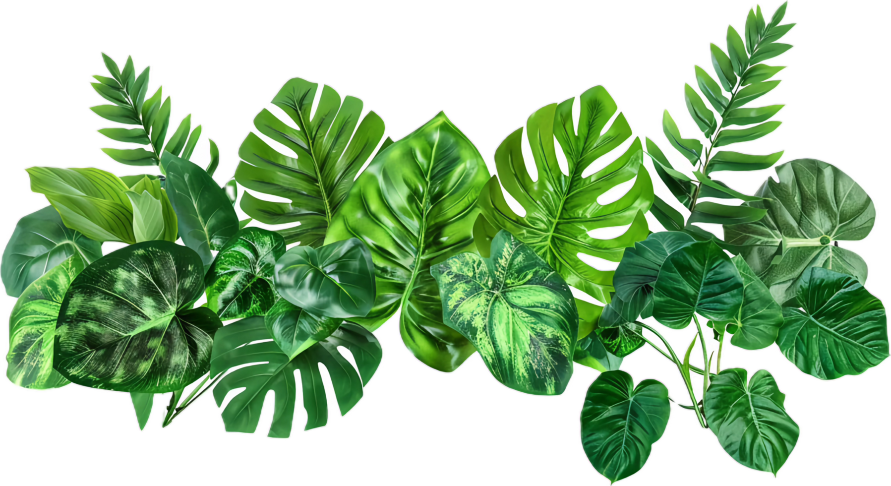 Assorted Tropical Green Leaves Close-Up. png